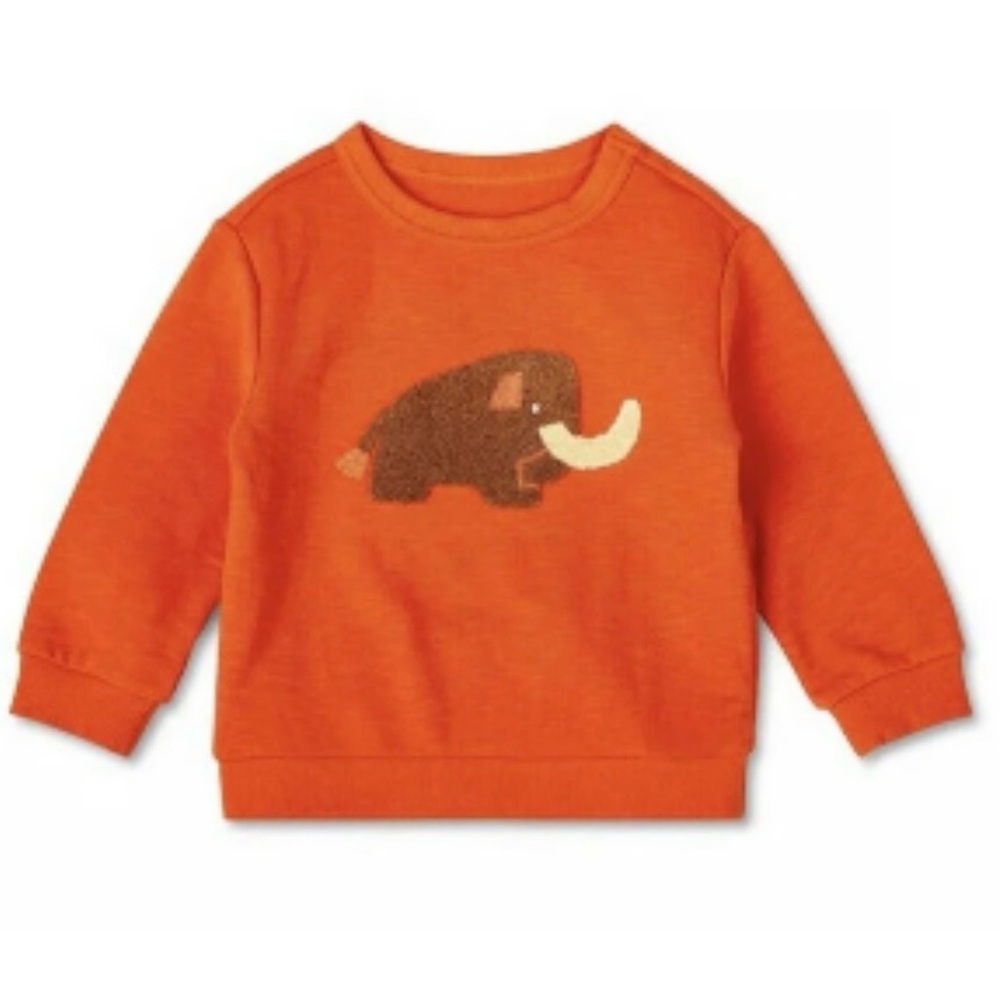 Christian Robinson x Target Mammoth Applique Sweatshirt